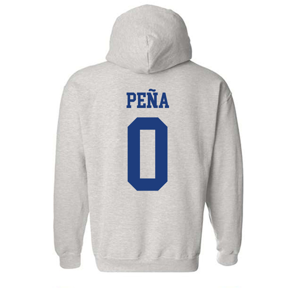 Florida - NCAA Women's Soccer : Paloma Peña - Classic Shersey Hooded Sweatshirt-1