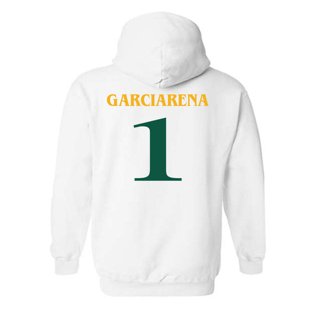 William & Mary - NCAA Men's Soccer : Diego Garciarena - Replica Shersey Hooded Sweatshirt-1