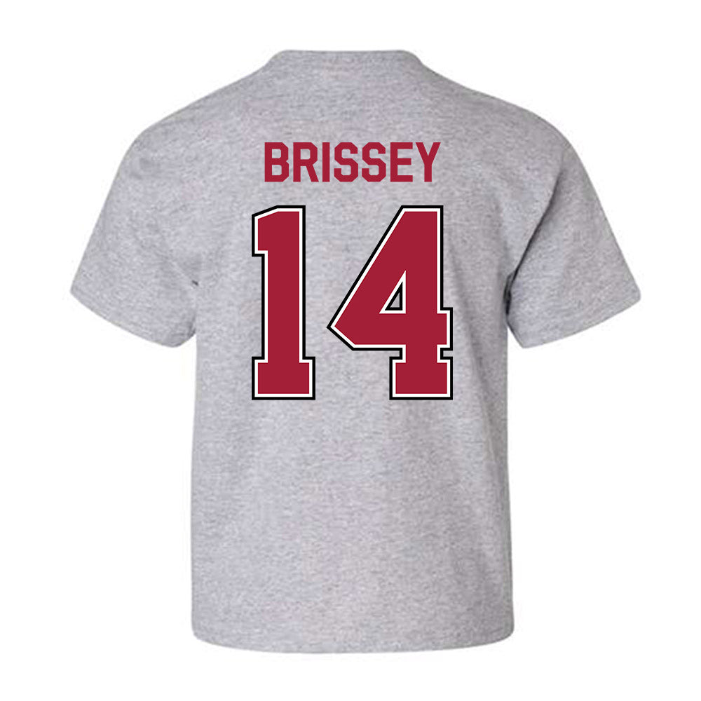Arkansas - NCAA Baseball : Mark Brissey - Classic Fashion Shersey Youth T-Shirt-1
