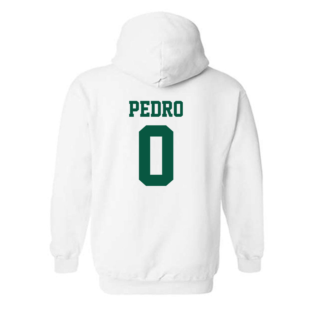 UNC Charlotte - NCAA Football : Cam Pedro - Classic Shersey Hooded Sweatshirt-1