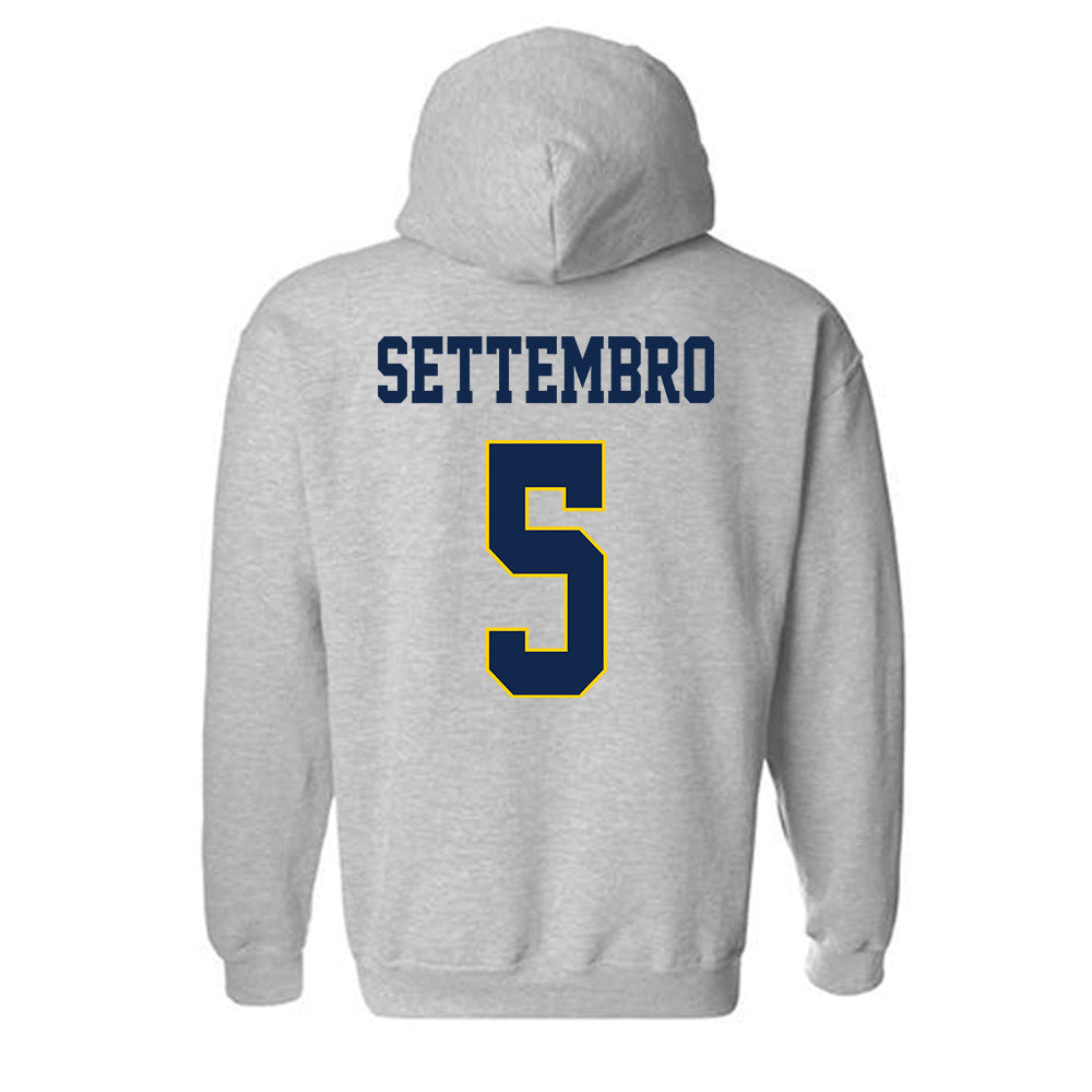 UCSD - NCAA Softball : Bella Settembro - Classic Fashion Shersey Hooded Sweatshirt-1