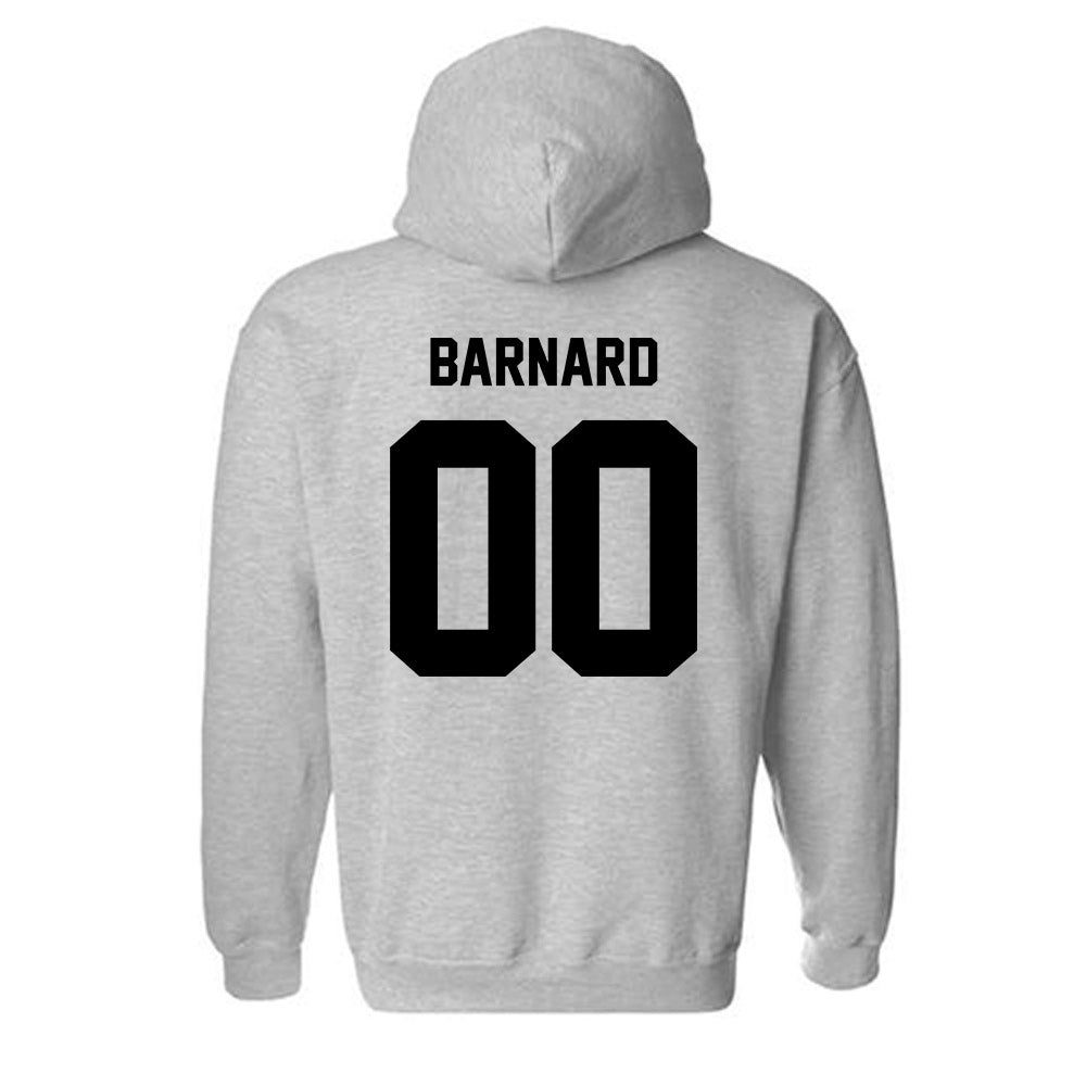 Georgia Southern - NCAA Softball : Alana Barnard - Classic Fashion Shersey Hooded Sweatshirt-1