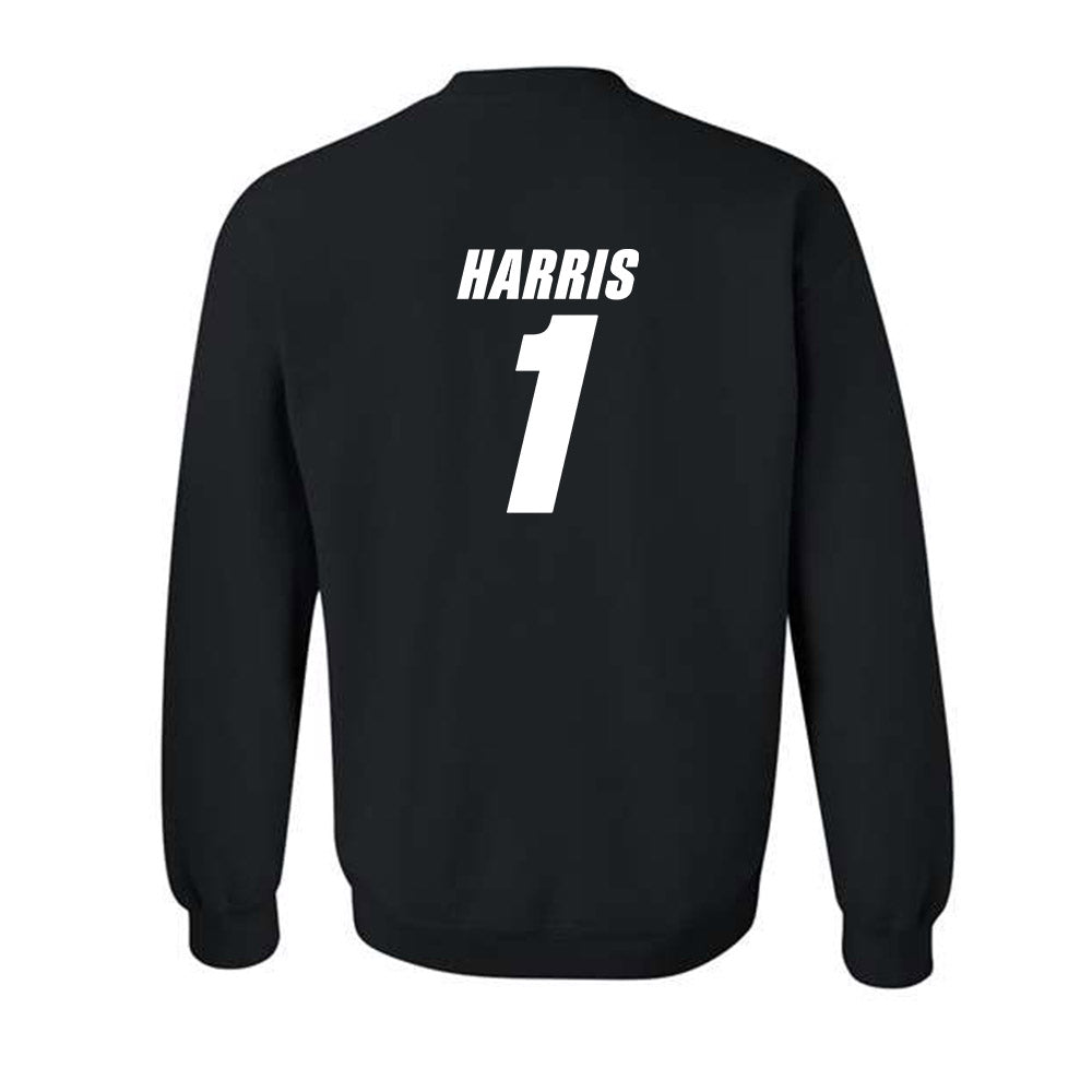 UT Martin - NCAA Softball : Payton Harris - Classic Shersey Crewneck Sweatshirt-1