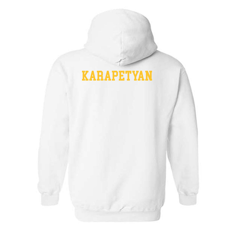 CSU Bakersfield - NCAA Men's Track & Field : Matthew Karapetyan - Classic Shersey Hooded Sweatshirt