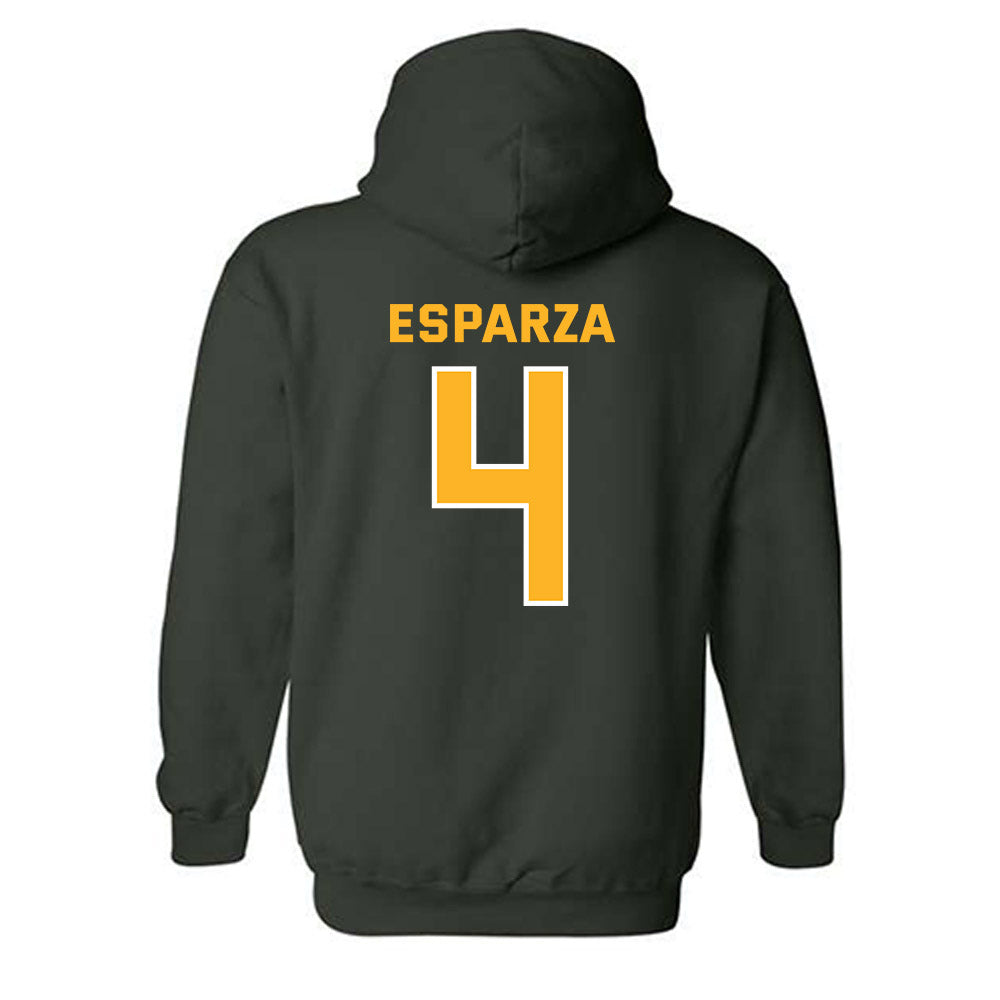 Baylor - NCAA Softball : Charleigh Esparza - Classic Fashion Shersey Hooded Sweatshirt-1