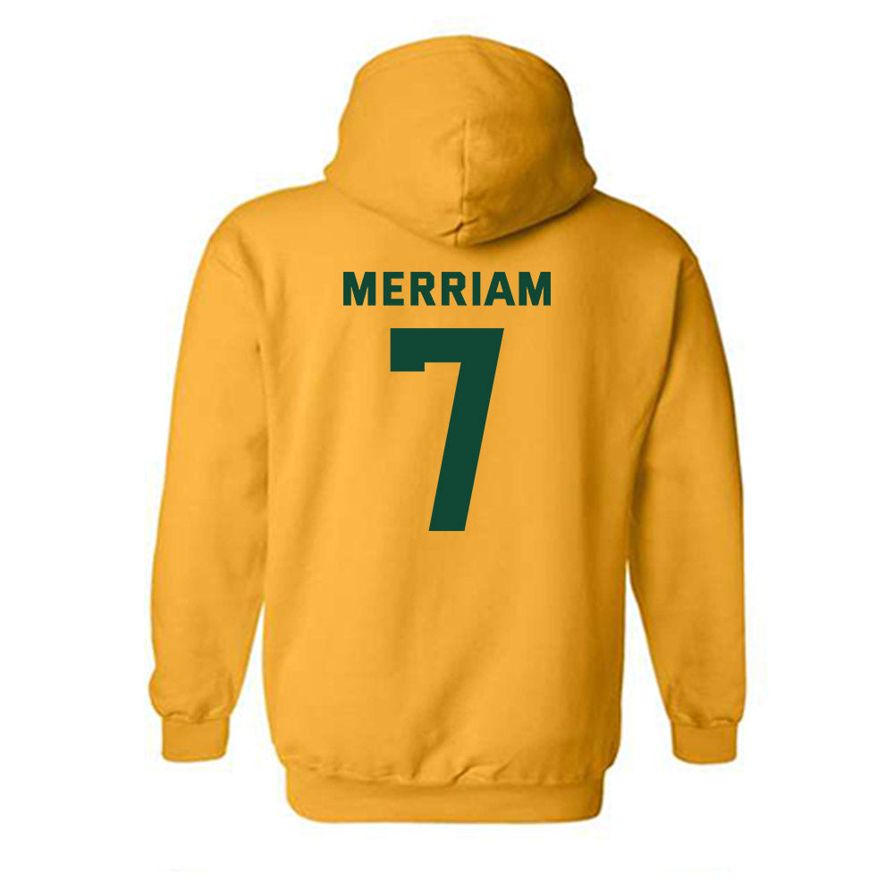 Baylor - NCAA Women's Soccer : Adriana Merriam - Hooded Sweatshirt Classic Fashion Shersey