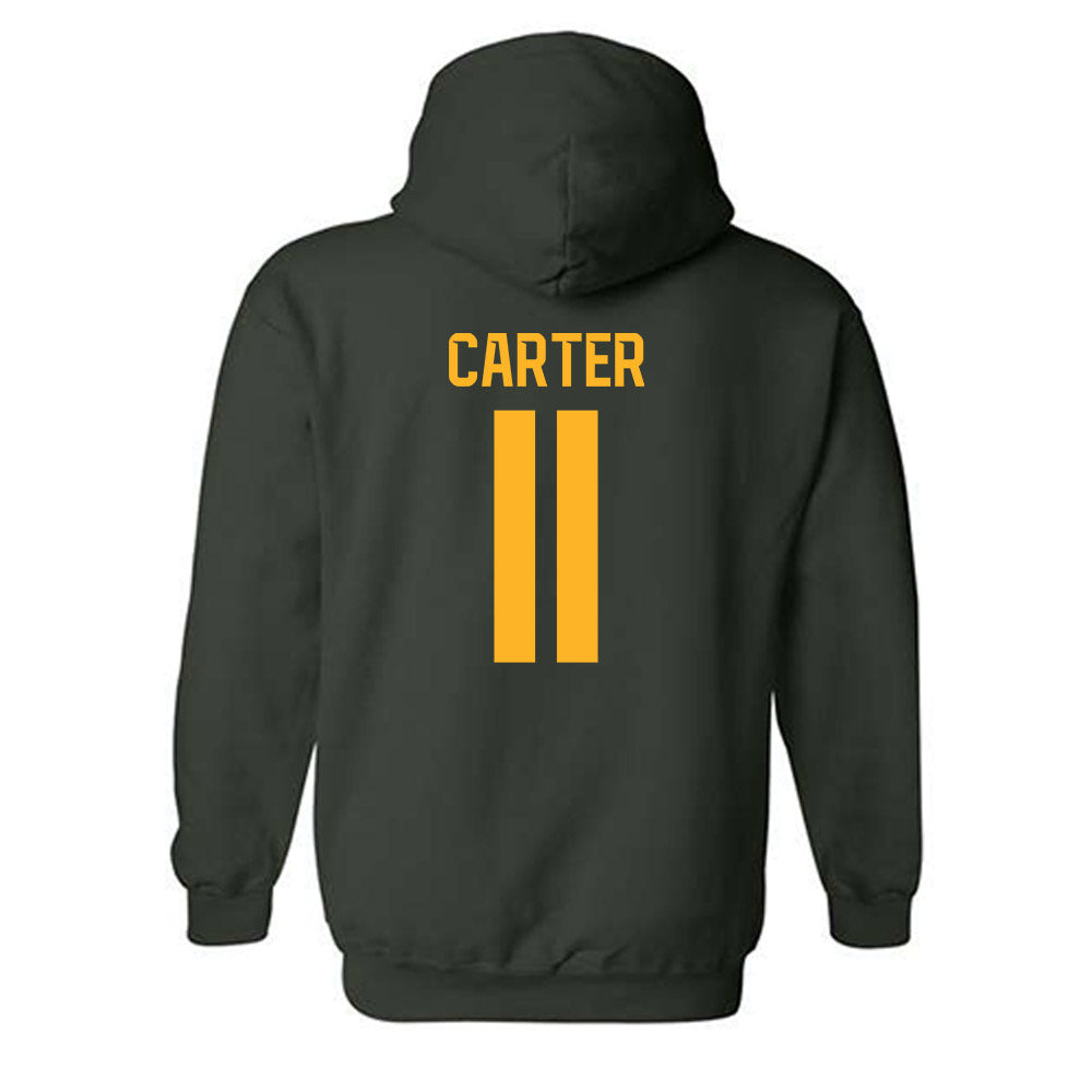 Baylor - NCAA Softball : Brooklyn Carter - Classic Shersey Hooded Sweatshirt