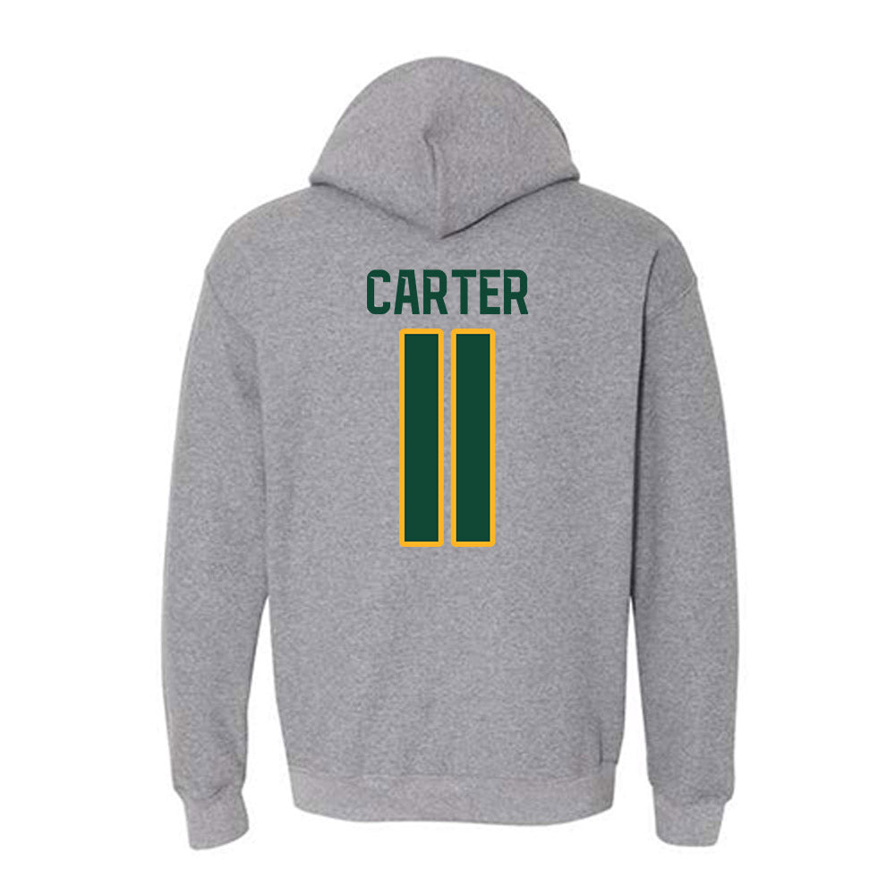Baylor - NCAA Softball : Brooklyn Carter - Classic Fashion Shersey Hooded Sweatshirt