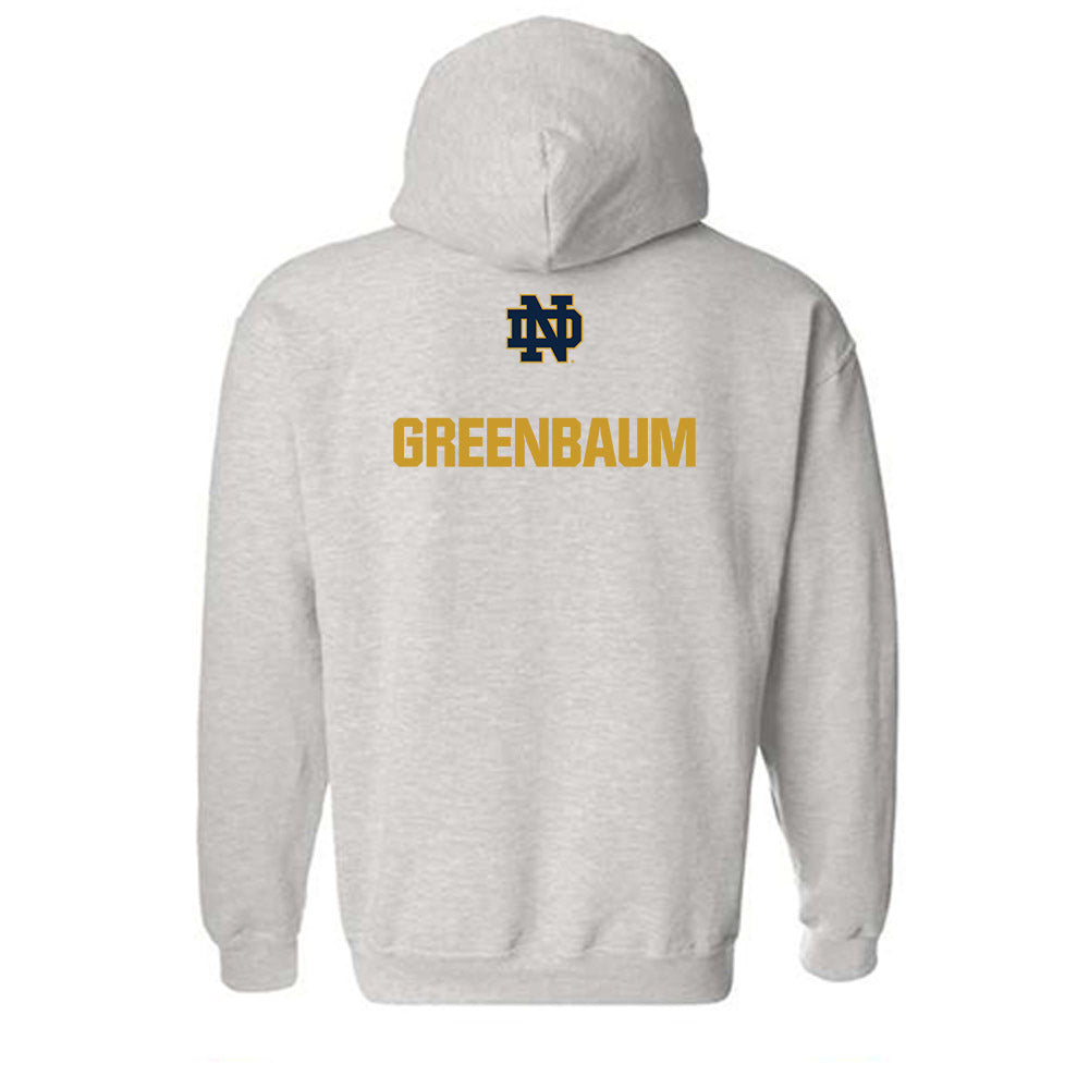 Notre Dame - NCAA Men's Fencing : Ian Greenbaum - Classic Fashion Shersey Hooded Sweatshirt-1