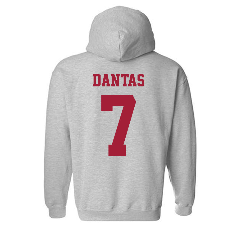Oklahoma - NCAA Women's Soccer : Fernanda Dantas - Classic Shersey Hooded Sweatshirt-1