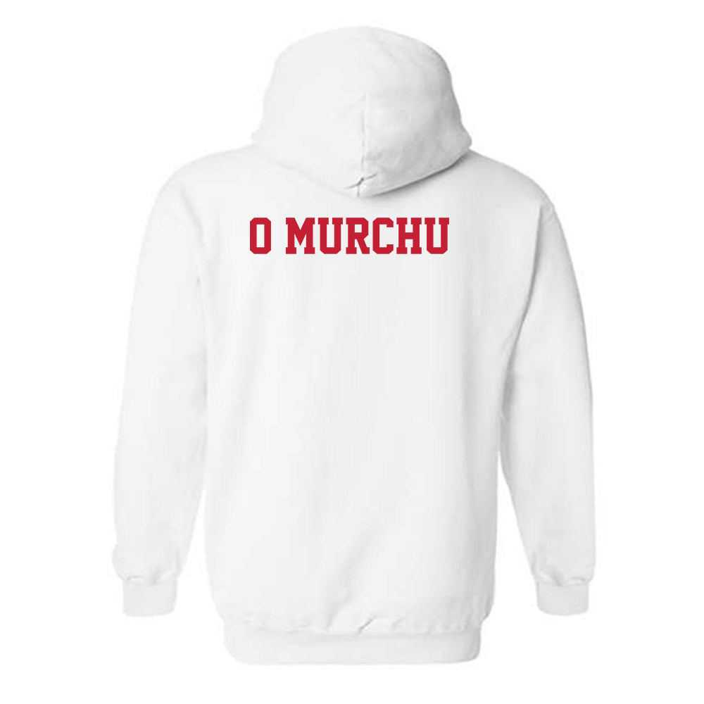 New Mexico - NCAA Men's Track & Field : Fionn O Murchu - Classic Fashion Shersey Hooded Sweatshirt-1