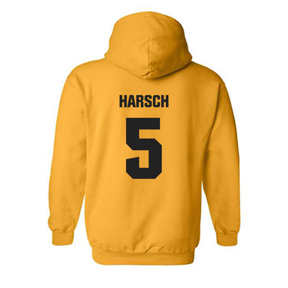 Wake Forest - NCAA Baseball : Marcelo Harsch - Classic Shersey Hooded Sweatshirt-1