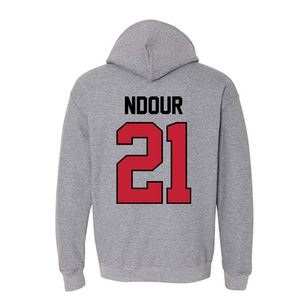 Georgia - NCAA Women's Basketball : Aicha Ndour - Classic Shersey Hooded Sweatshirt-1
