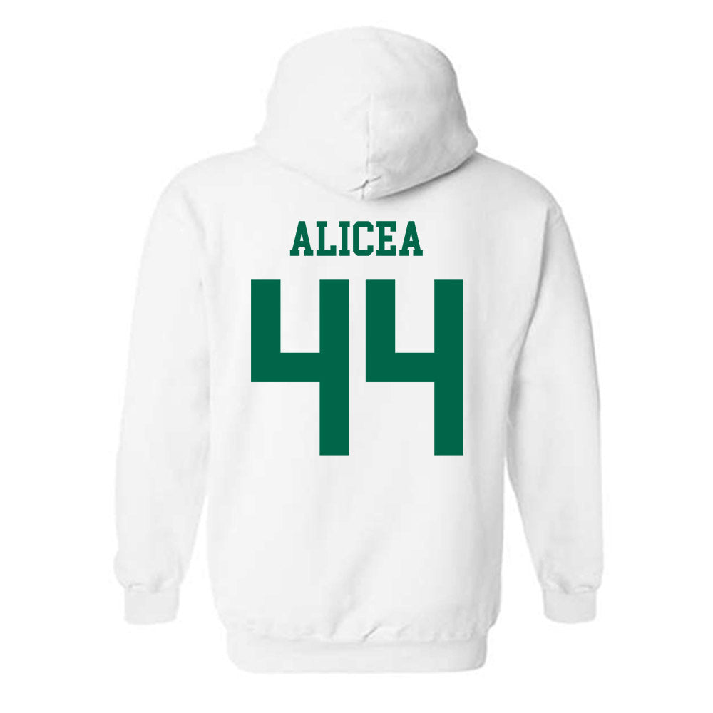 USF - NCAA Baseball : Edwin Alicea - Classic Shersey Hooded Sweatshirt-1