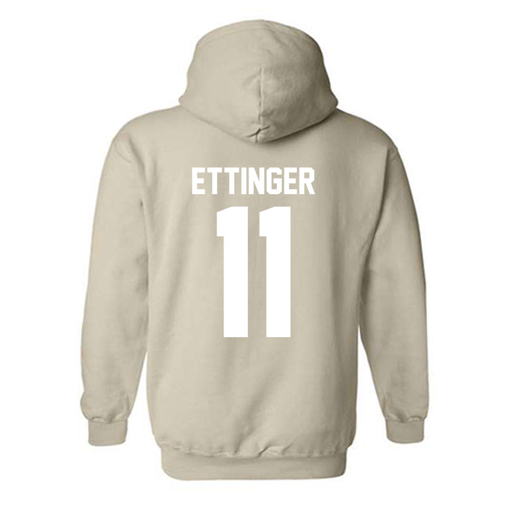 USF - NCAA Women's Lacrosse : Amanda Ettinger - Classic Shersey Hooded Sweatshirt-1