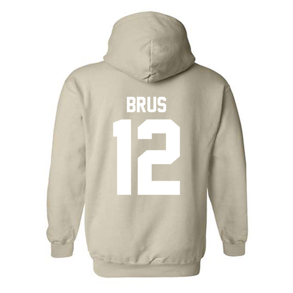 USF - NCAA Women's Volleyball : Addy Brus - Classic Shersey Hooded Sweatshirt-1