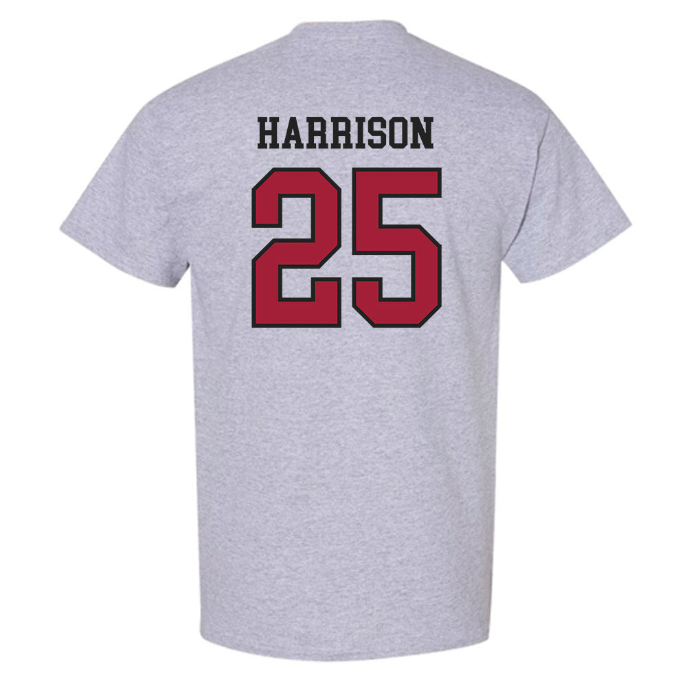 Arkansas - NCAA Softball : Cameryn Harrison - Sports Shersey T-Shirt-1