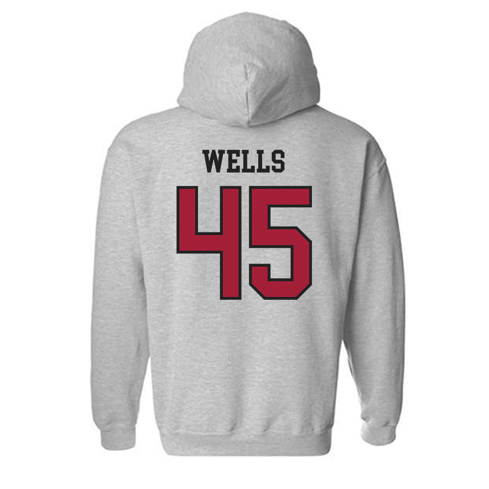 Arkansas - NCAA Softball : Jayden Wells - Hooded Sweatshirt Sports Shersey