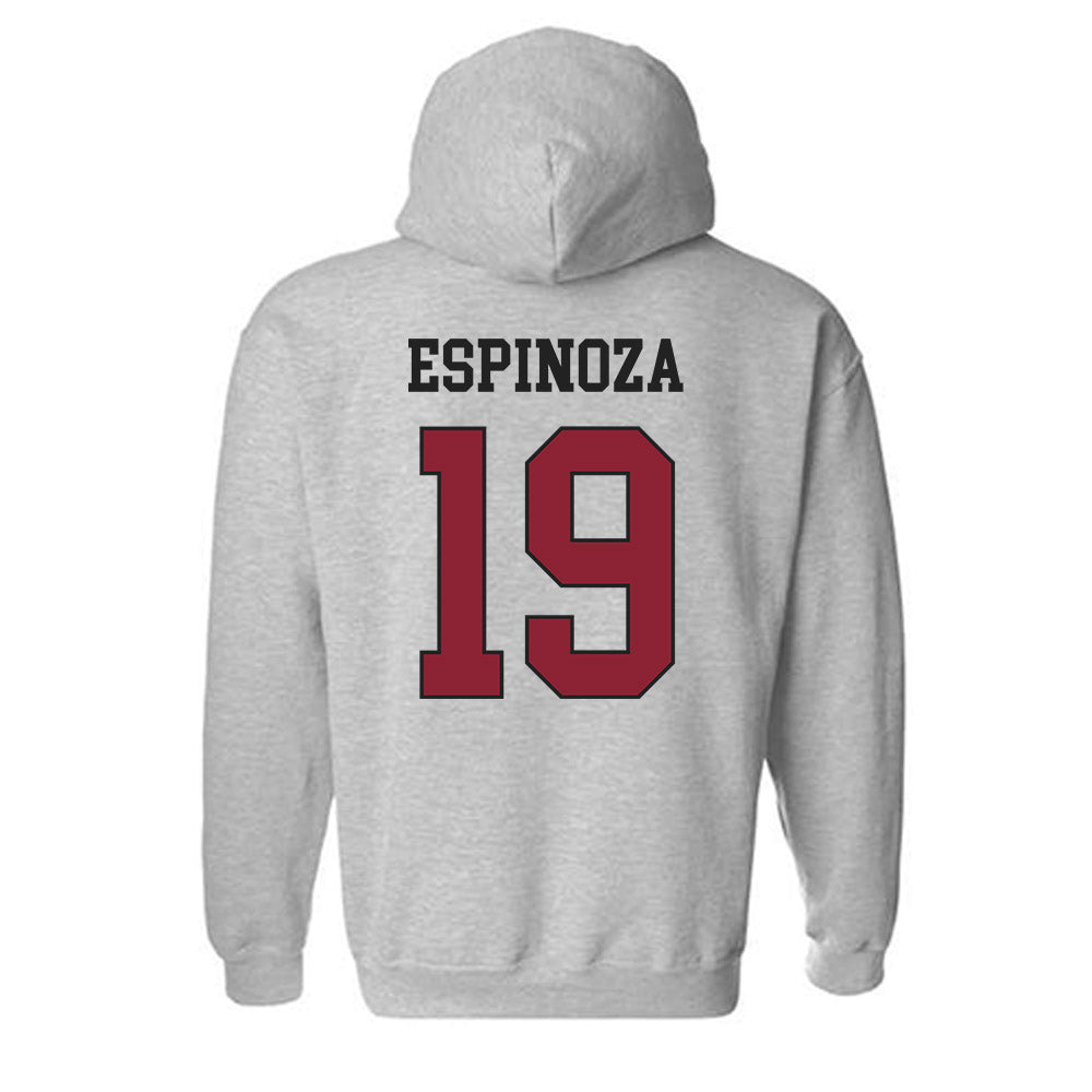 Boston College - NCAA Softball : Janis Espinoza - Sports Shersey Hooded Sweatshirt-1