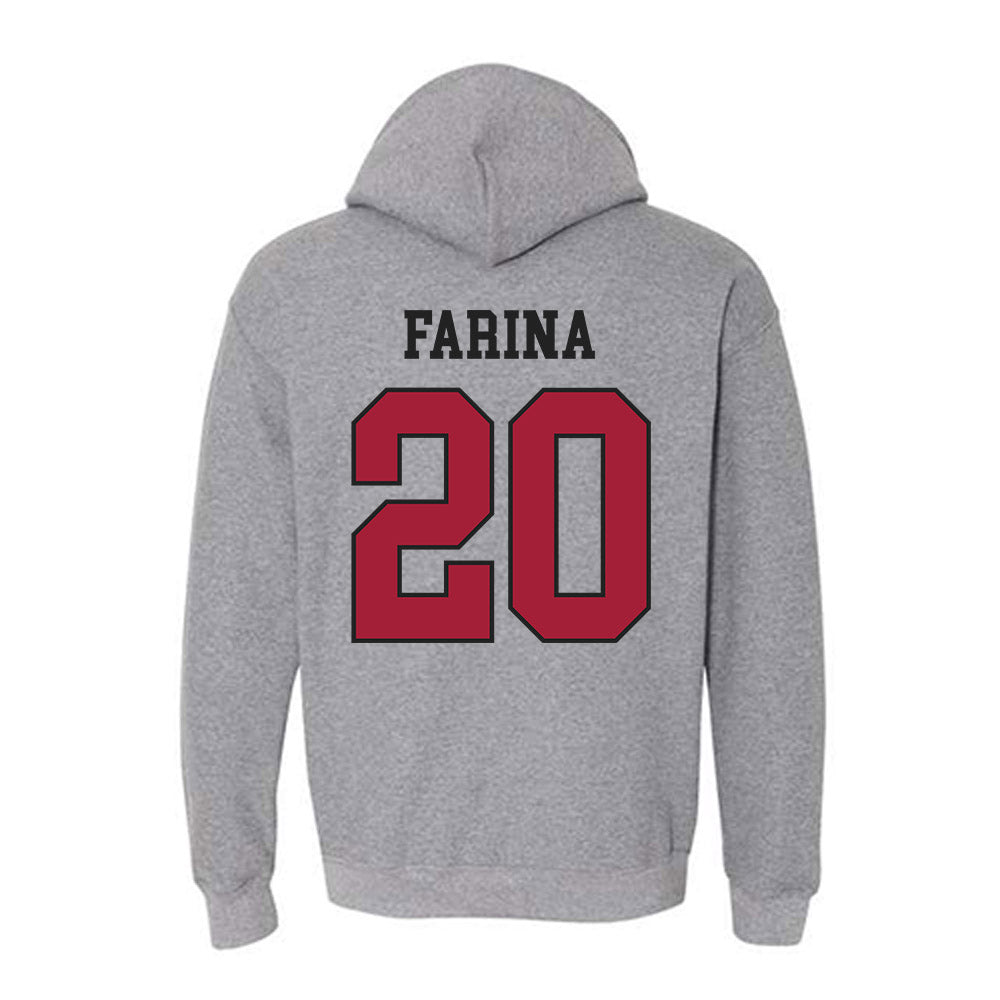 St. Joe's - NCAA Softball : Ava Farina - Classic Shersey Hooded Sweatshirt-1