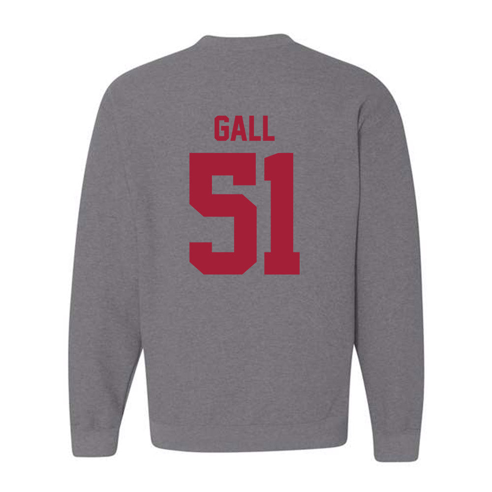 Stanford - NCAA Softball : Ava Gall - Sports Shersey Crewneck Sweatshirt-1