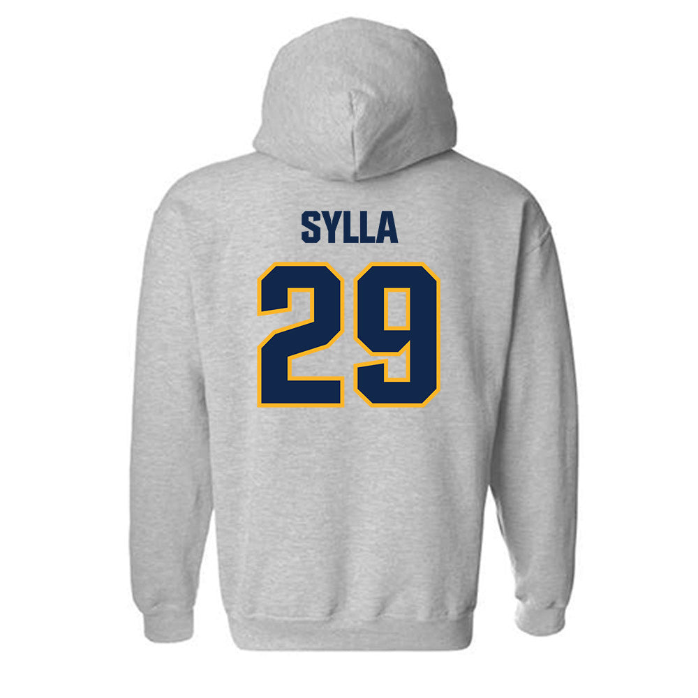UW Eau Claire - NCAA Baseball : Brandon Sylla - Classic Shersey Hooded Sweatshirt-1