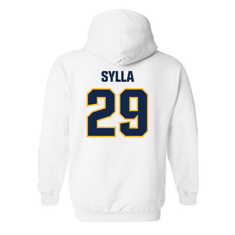 UW Eau Claire - NCAA Baseball : Brandon Sylla - Classic Shersey Hooded Sweatshirt-1