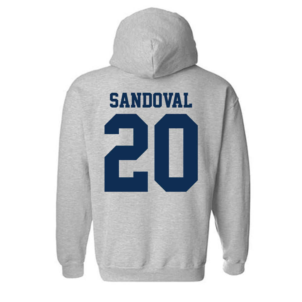 UC Davis - NCAA Women's Soccer : Karla Sandoval - Classic Shersey Hooded Sweatshirt-1