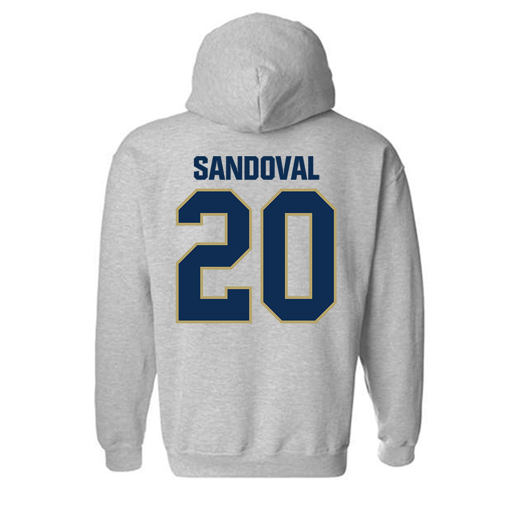 UC Davis - NCAA Women's Soccer : Karla Sandoval - Classic Shersey Hooded Sweatshirt-1