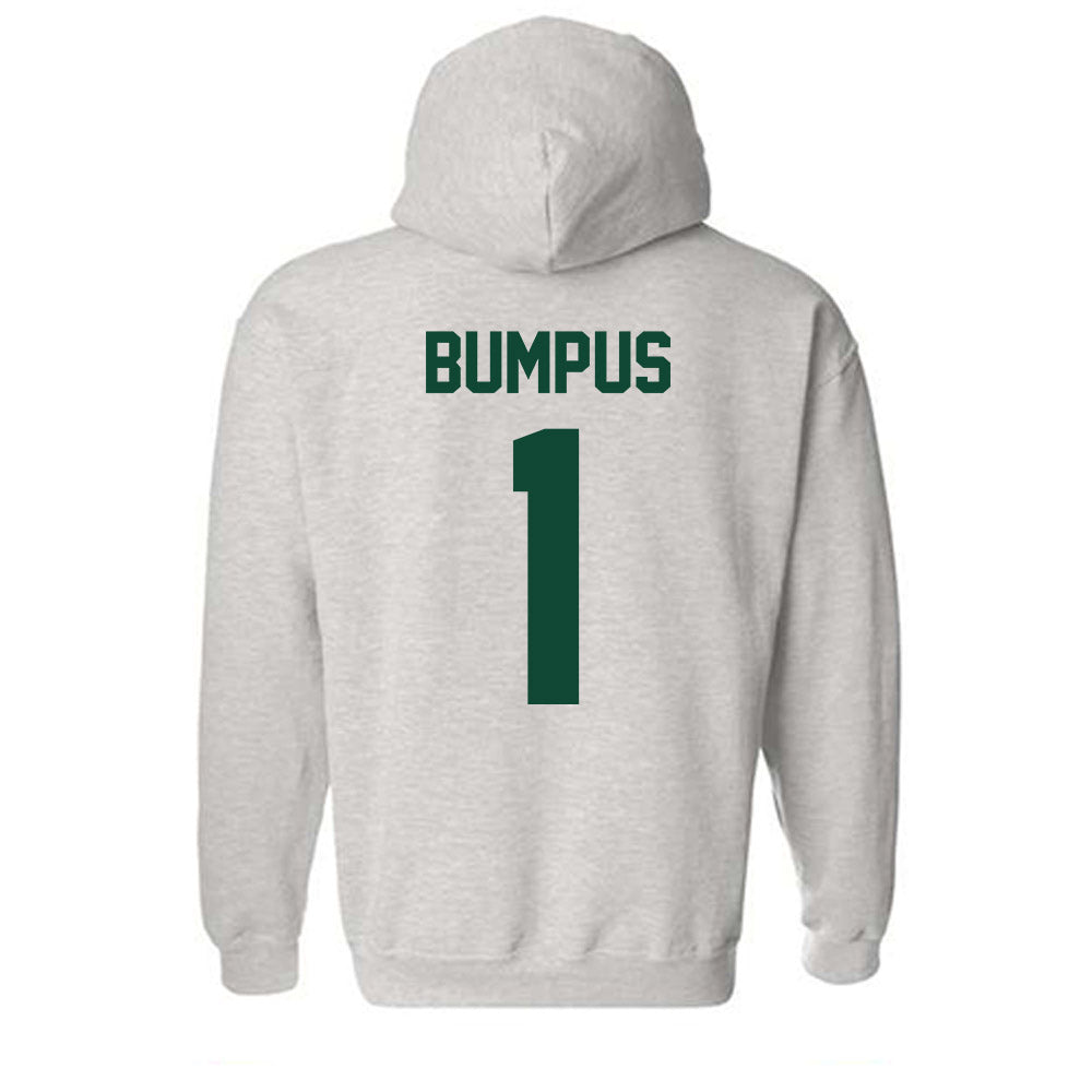 Ohio - NCAA Softball : Anaya Bumpus - Classic Shersey Hooded Sweatshirt-1