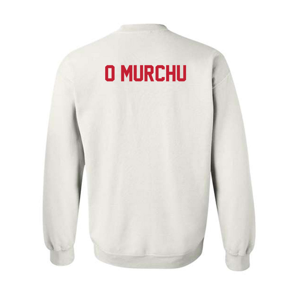 New Mexico - NCAA Men's Track & Field : Fionn O Murchu - Classic Shersey Crewneck Sweatshirt-1