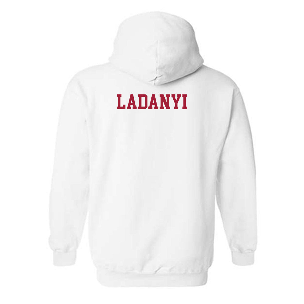 Alabama - NCAA Women's Gymnastics : Gabby Ladanyi - Hooded Sweatshirt