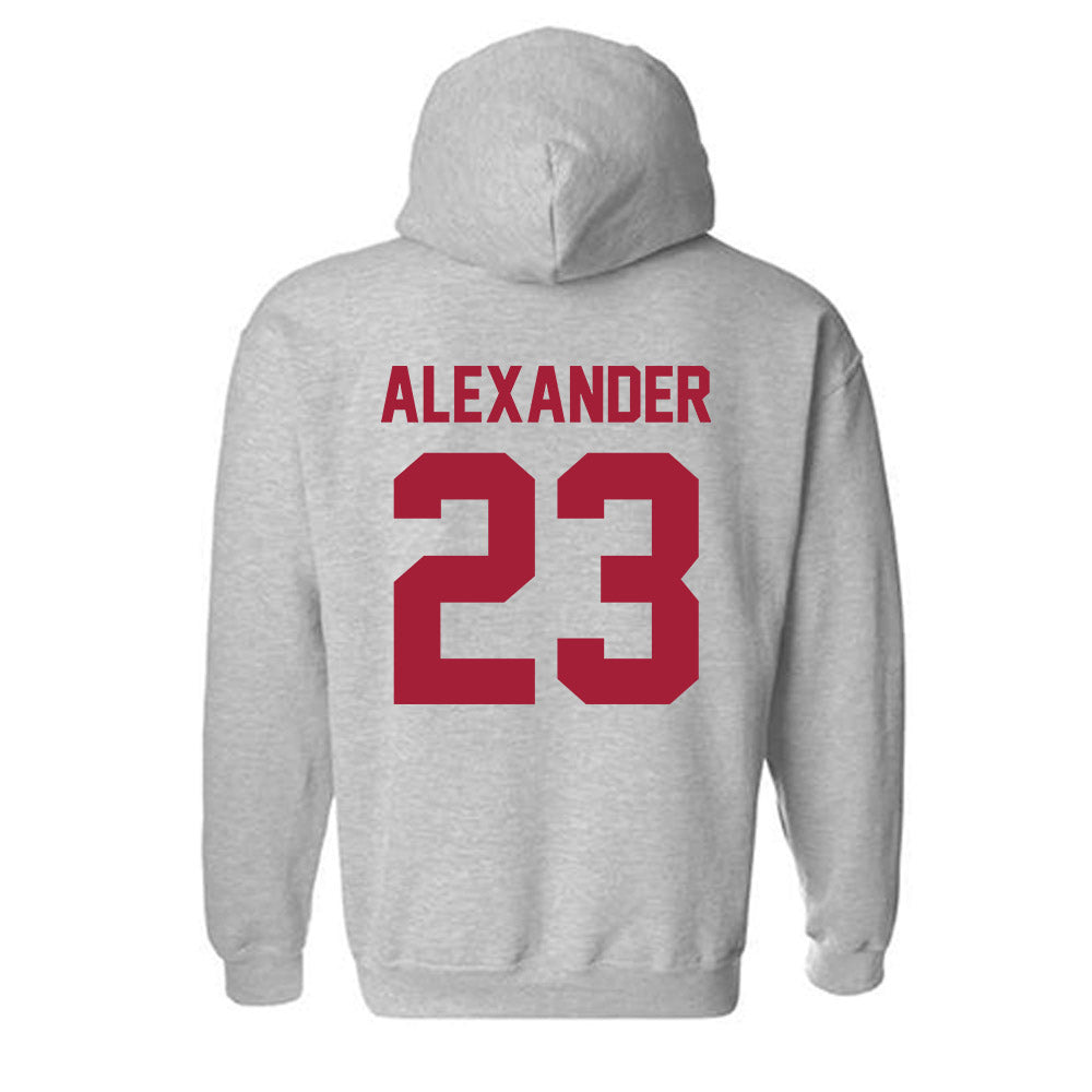 Arkansas - NCAA Women's Volleyball : Aleki Alexander - Hooded Sweatshirt