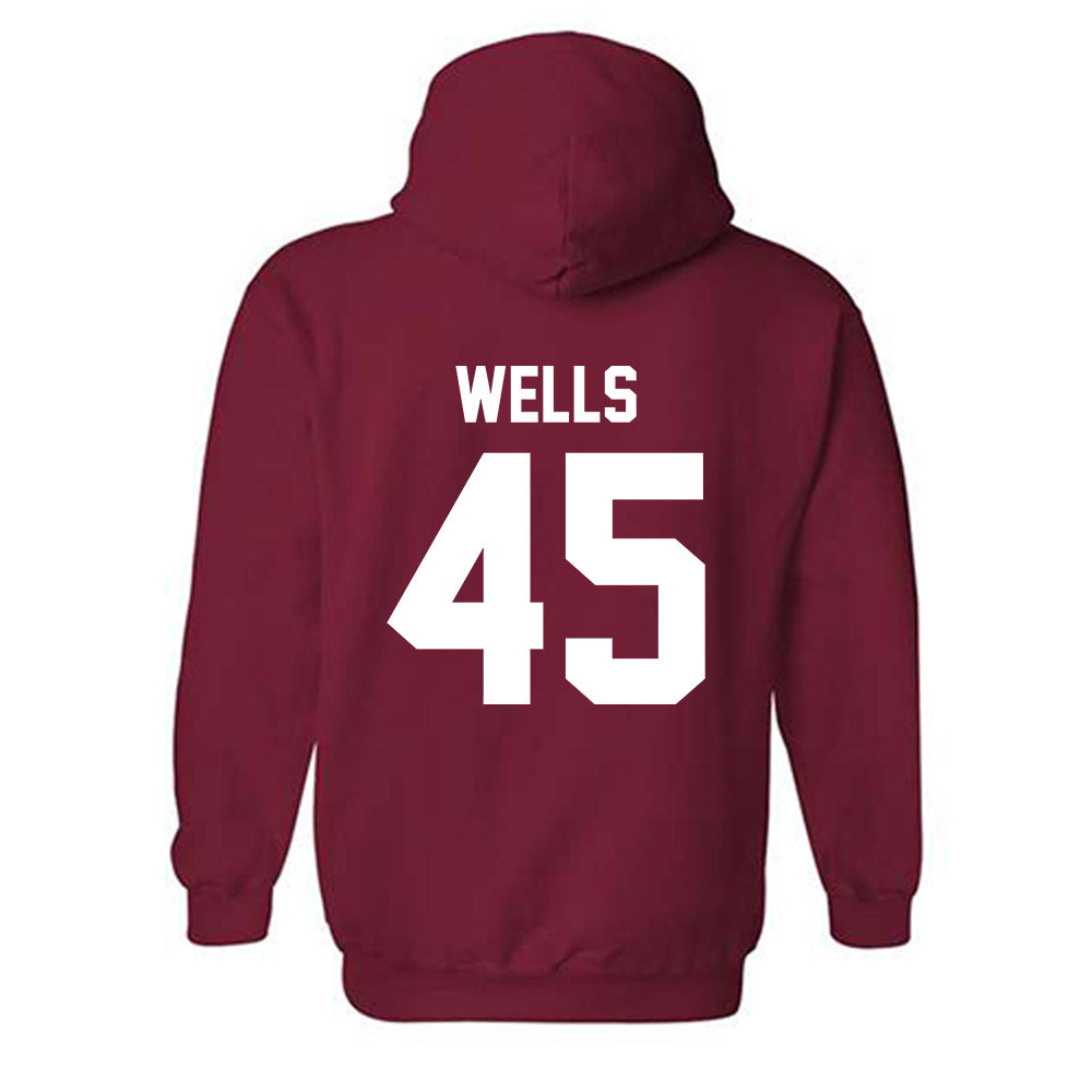 Arkansas - NCAA Softball : Jayden Wells - Classic Shersey Hooded Sweatshirt