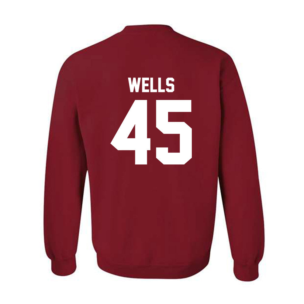 Arkansas - NCAA Softball : Jayden Wells - Classic Shersey Crewneck Sweatshirt