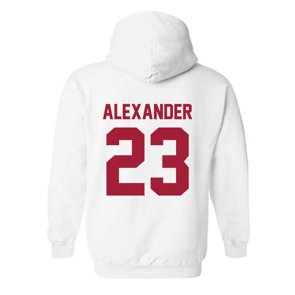 Arkansas - NCAA Women's Volleyball : Aleki Alexander - Generic Shersey Hooded Sweatshirt