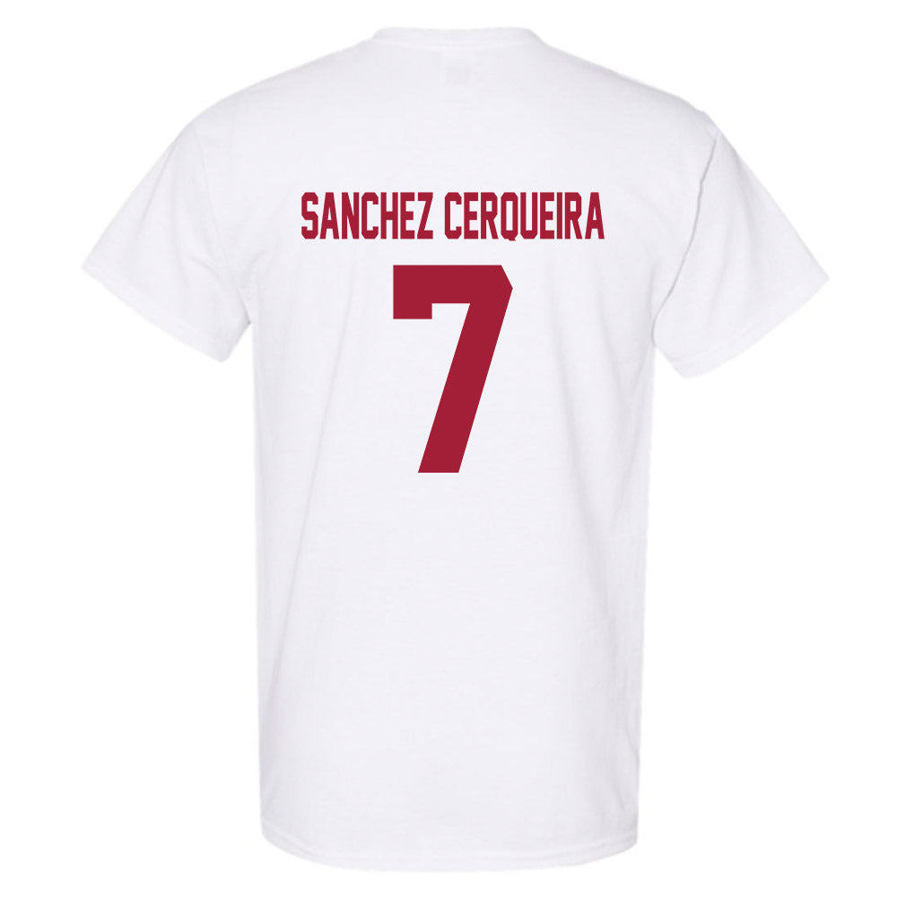 Arkansas - NCAA Women's Basketball : Cristina Sanchez Cerqueira - Generic Shersey T-Shirt-1