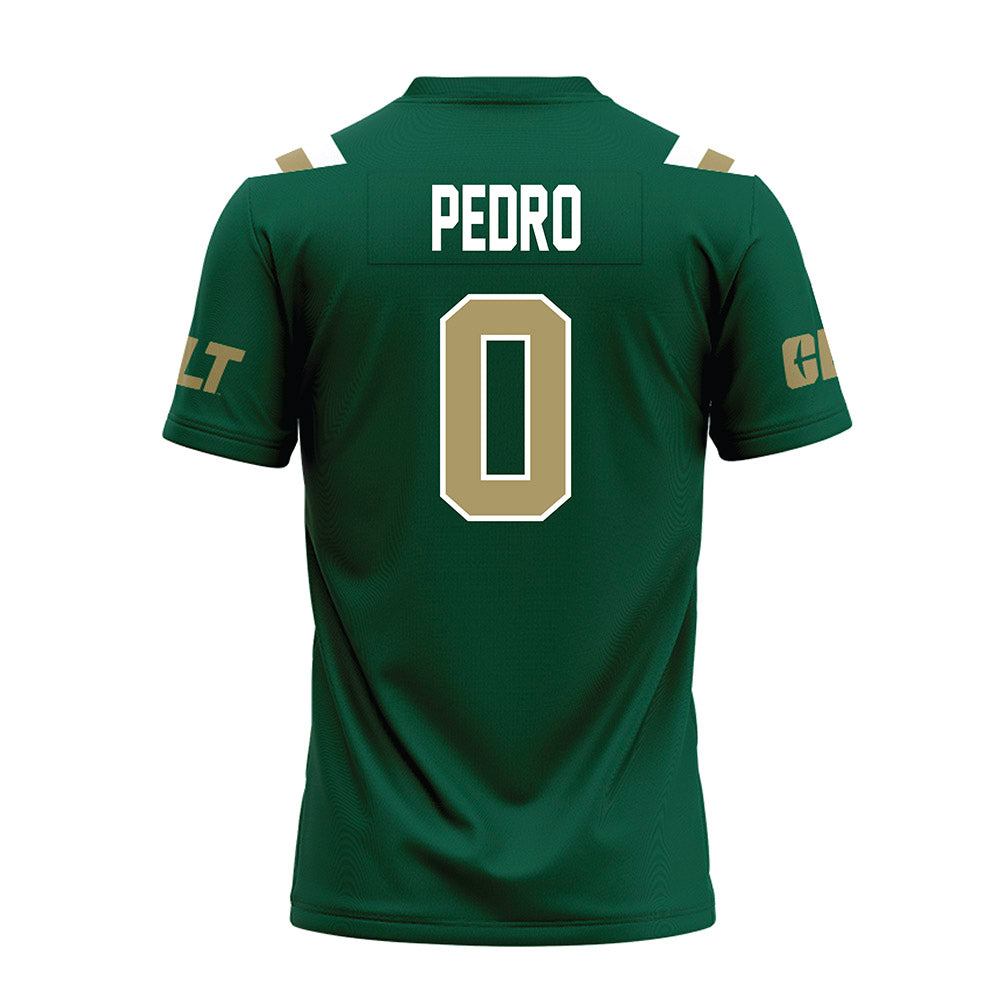 UNC Charlotte - NCAA Football : Cam Pedro - Premium Football Jersey-1
