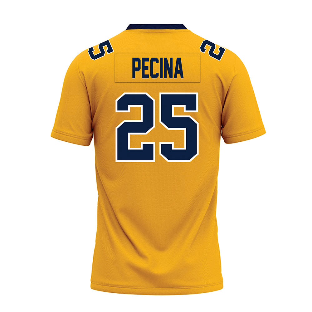 AU - NCAA Football : Jake Pecina - Gold Premium Football Jersey-1