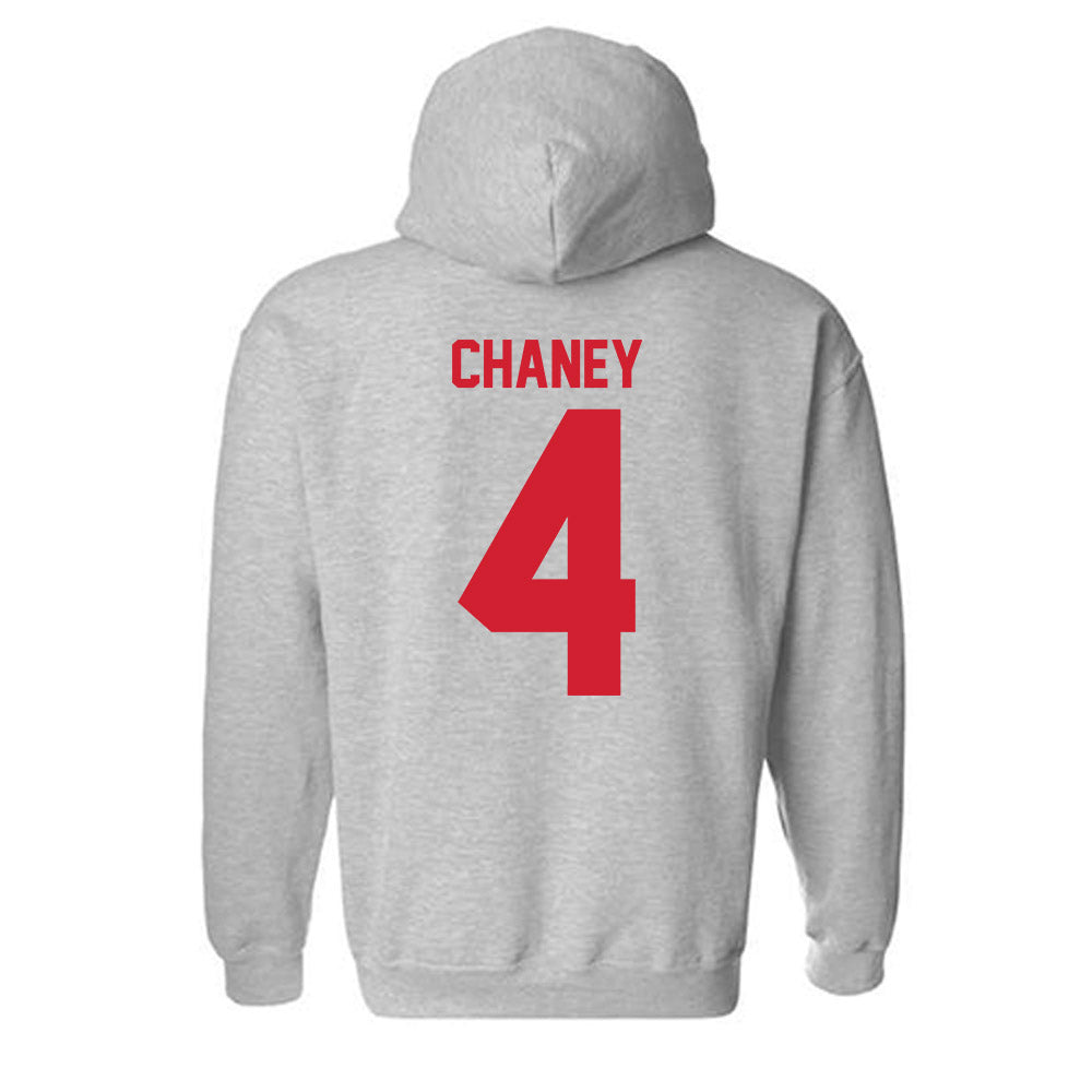 Louisiana - NCAA Football : Trenton Chaney - Classic Shersey Hooded Sweatshirt-1