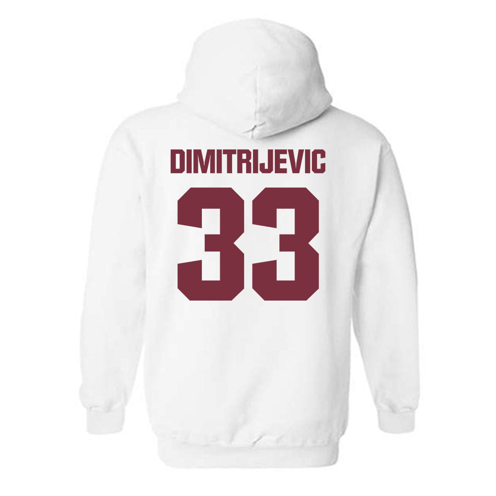 FSU - NCAA Softball : Lisabella Dimitrijevic - Generic Shersey Hooded Sweatshirt-1