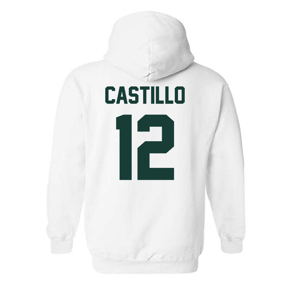 Lake Erie College - NCAA Men's Basketball : Alanas Castillo - Classic Shersey Hooded Sweatshirt-1