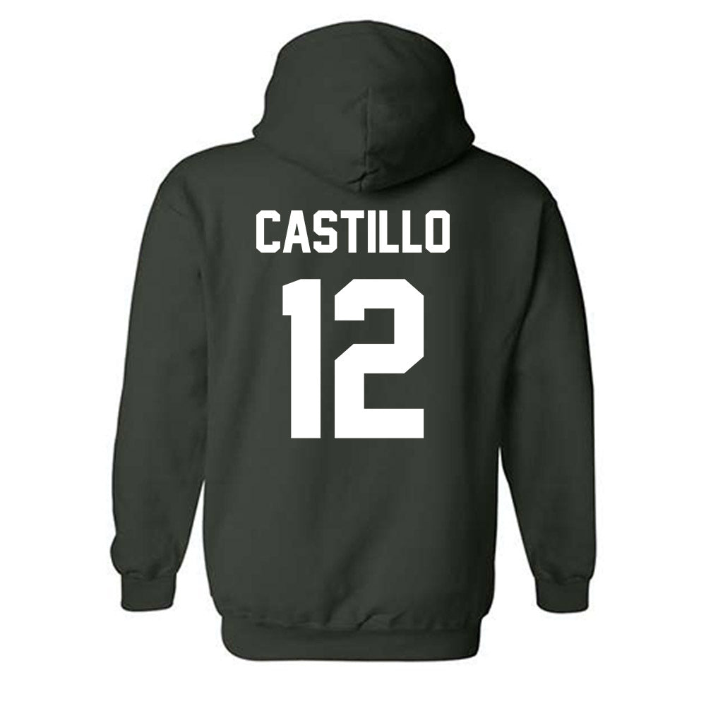 Lake Erie College - NCAA Men's Basketball : Alanas Castillo - Hooded Sweatshirt-1
