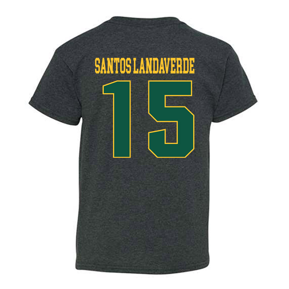 Fitchburg State - NCAA Men's Soccer : Francisco Jair Santos Landaverde - Classic Shersey Youth T-Shirt-1