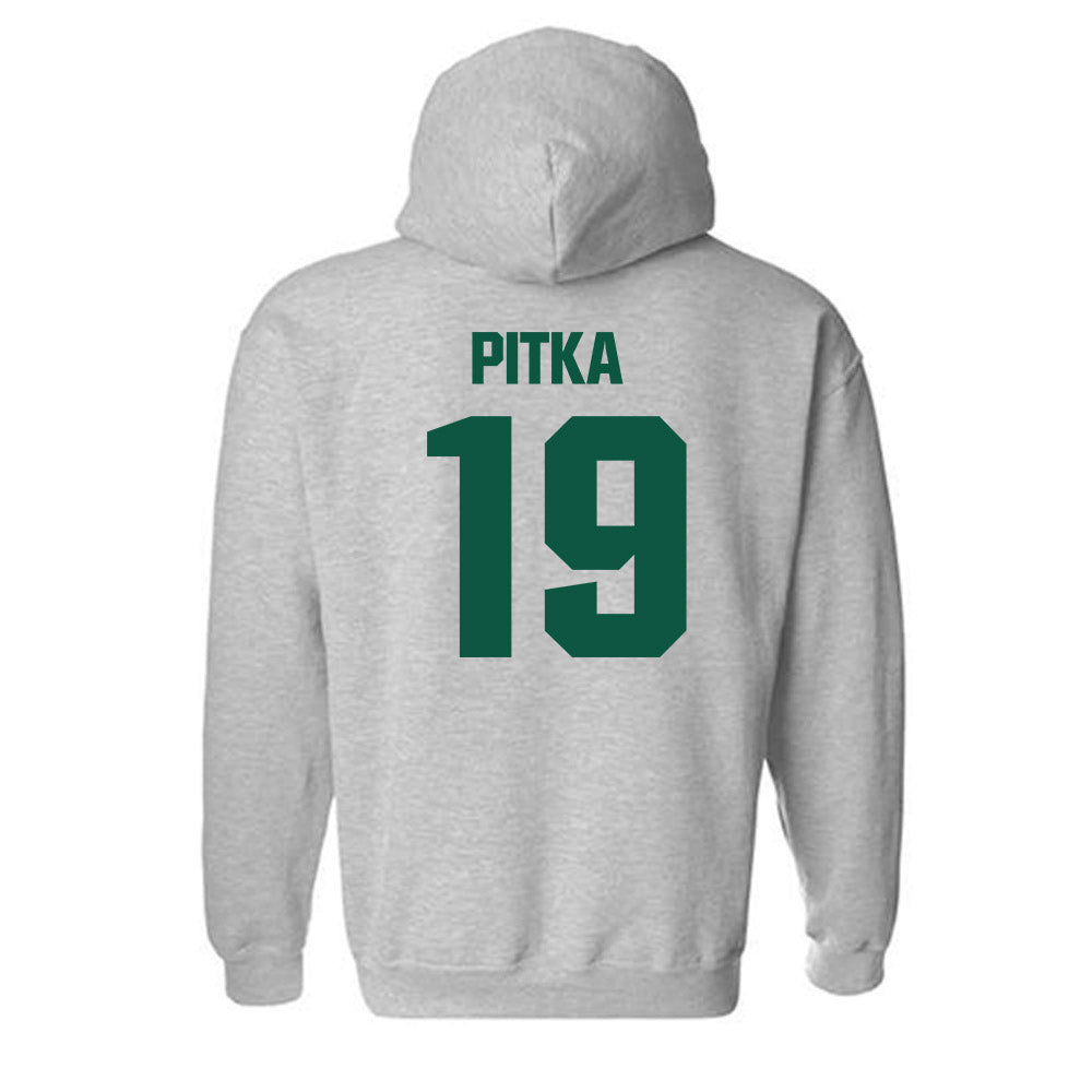 Northern Michigan - NCAA Men's Ice Hockey : Tobias Pitka - Classic Shersey Hooded Sweatshirt-1