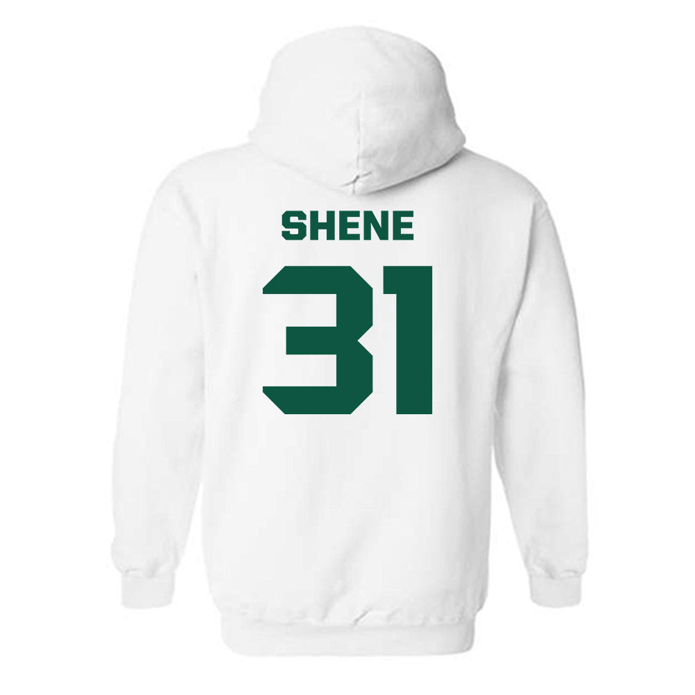 UW Green Bay - NCAA Men's Soccer : Carson Shene - Hooded Sweatshirt-1
