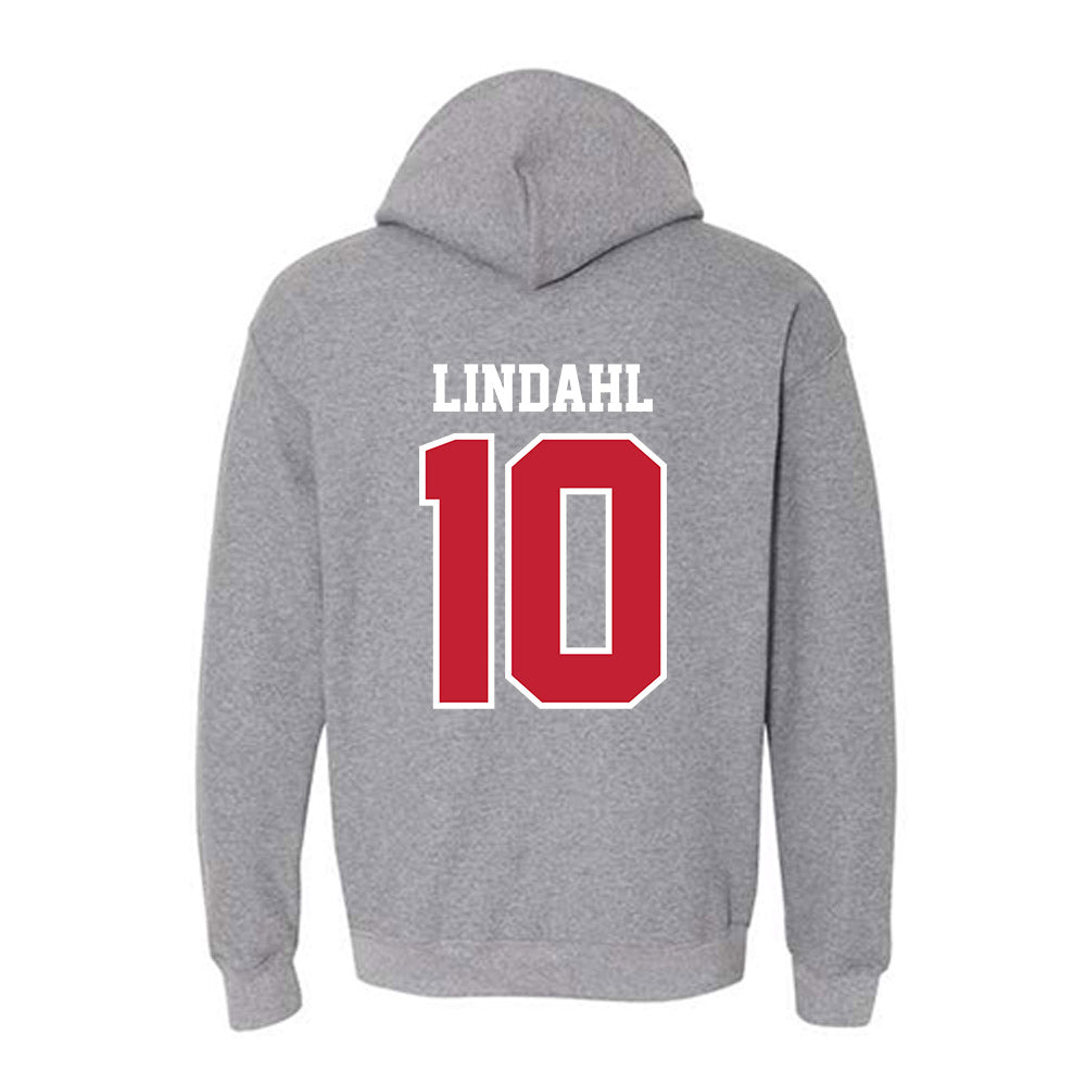 UW River Falls - NCAA Men's Ice Hockey : Ethan Lindahl - Classic Shersey Hooded Sweatshirt-1