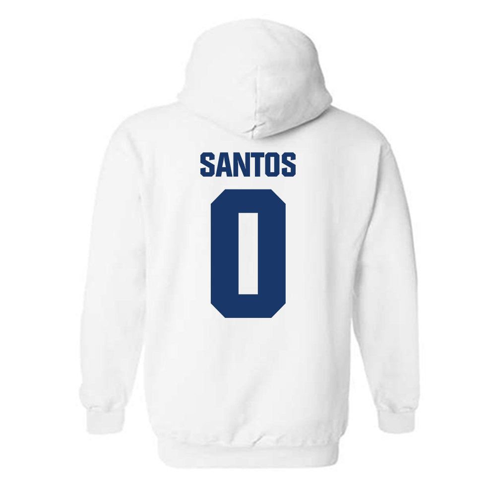 Francis Marion - NCAA Men's Basketball : Troy Santos - Hooded Sweatshirt-1