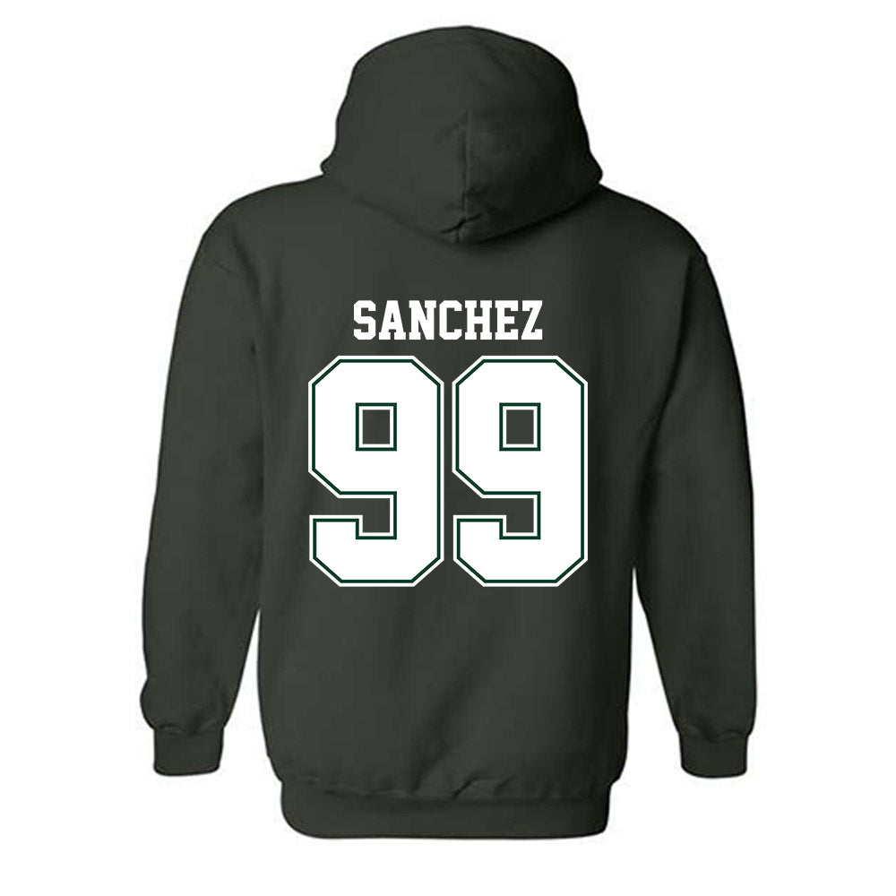 Portland State - NCAA Softball : Elise Sanchez - Classic Shersey Hooded Sweatshirt-1