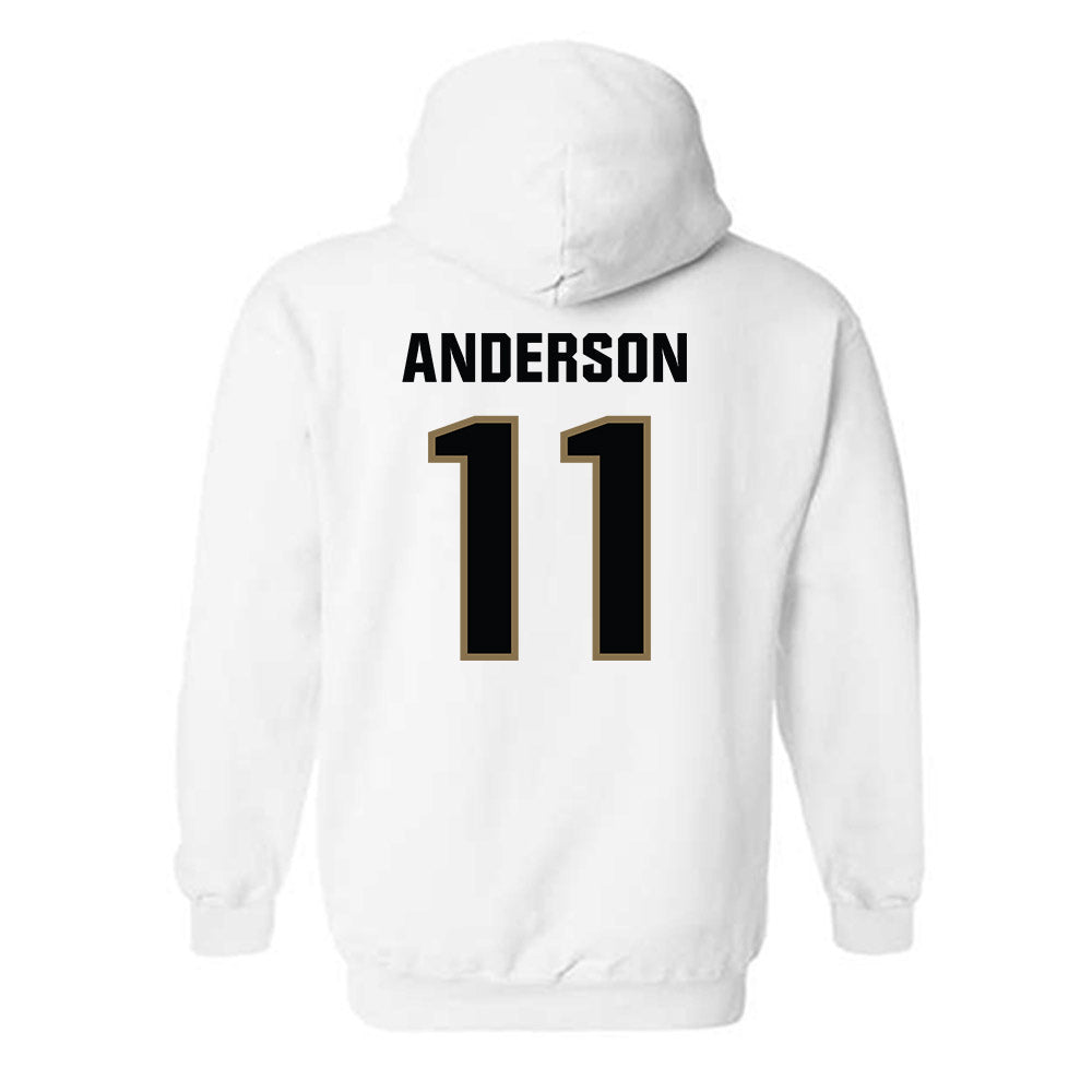 UNC Pembroke - NCAA Men's Basketball : Demar Anderson - Classic Shersey Hooded Sweatshirt-1